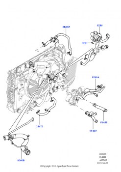 Трубопр.и шланги сист.охлажд. (4.4L DOHC DITC V8 Diesel)