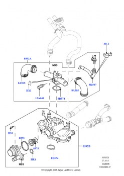 Термостат/корпус и сопут.эл-ты (4.4L DOHC DITC V8 Diesel)