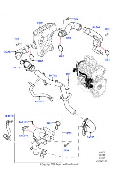 Термостат/корпус и сопут.эл-ты (2,0 л I4 High DOHC AJ200, бензин, Изготовитель - Changsu (Китай), 2,0 л I4 Mid DOHC AJ200, бензин, Изготовитель - Changsu (Китай))