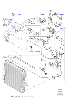 Трубопр.и шланги сист.охлажд. (AJ бензин 4.4 V8 EFI (220кВт))