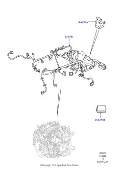 Электропр.на двигат.и перегородке (Двигатель, Cologne V6 4.0 EFI (SOHC))