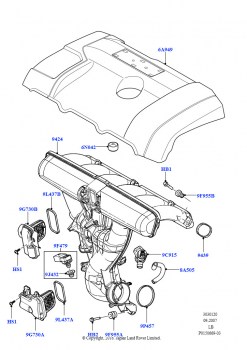 Впускной коллектор (3.2L DOHC MPI Petrol I6)